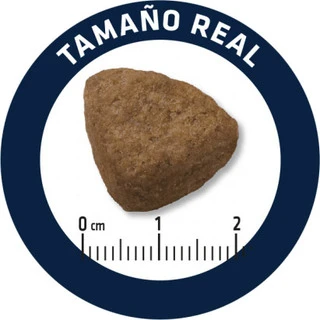 Сухой корм для взрослых собак крупных пород Аdvance Dog Maxi Adult 14 кг (8410650172620)