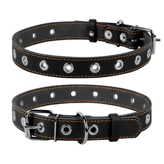Ошейник "CoLLaR" безразмерный (ширина 25мм, длина 60см), черный