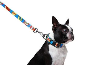 Поводок для собак нейлоновый WAUDOG Nylon, рисунок "ВАУ", Ш 20 мм, Дл 122 см