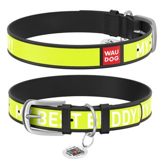 Нашийник WAUDOG Design з малюнком "Друг", преміум шкіра, металевий пряжка (ширина 12 мм, довжина 19-25 см), чорний