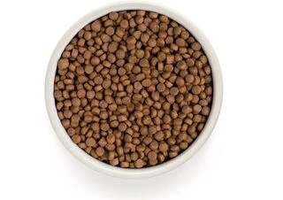 Сухой корм для взрослых кошек Grandorf LAMB &amp;amp; TURKEY ADULT INDOOR ягненок с индейкой, 2 кг