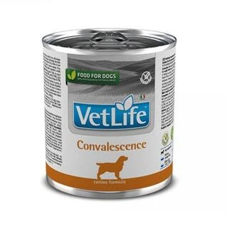 Фармина влажный корм для собак Vet Life Convalescence Vet Life Renal диет. питание, для поддержания функции почек, 300 г