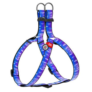 Анатомічний нашийник для собак WAUDOG Nylon з QR паспортом, малюнок "Ловець снів", пластиковий фастекс, Ш 20 мм, Дл 50-80 см