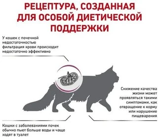 Сухой корм для взрослых котов с хронической почечной недостаточностью Royal Canin Renal 4 кг