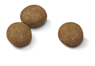 Сухой полнорационный корм Royal Canin Maxi Puppy для щенков крупных пород до 15 месяцев 1 кг