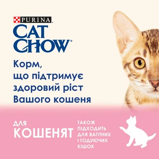 Упаковка влажного корма для котят Purina Cat Chow Kitten кусочки в желе с индейкой и цуккини 85 г x 26 шт