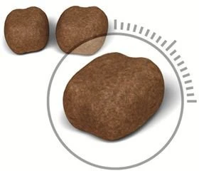 Сухой корм для котов от 1 до 7 лет Royal Canin Oral Care для уменьшения образования зубного камня 1.5 кг