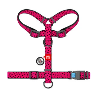 Анатомічний H-подібний нашийник для собак WAUDOG Nylon з QR-паспортом, малюнок "Арбуз", пластиковий фастекс, L, Ш 25 мм, А 50-90, В 60-100