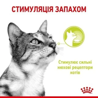 ПАК.Влажный корм Royal Canin SENSORY SMELL JELLY (Желе) для взрослых кошек привередливых в питании 12 шт по 85 г