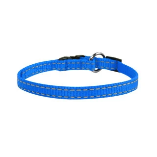 Ошейник "Dog Extremе" нейлоновый регулируемый (ширина 10мм, длина 20-30см), голубой