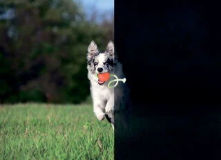 Мячик ЛАЙКЕР7 Люми на шнуре, диаметр 7 см