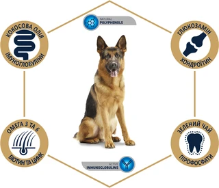 Сухой корм для взрослых немецких овчарок Advance Dog Maxi German Shepherd 12 кг (8410650171579)