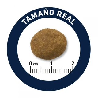 Cухой корм для собак Advance Dog Maxi Junior для молодых собак крупных пород с курицей и рисом 14 кг (8410650235400)