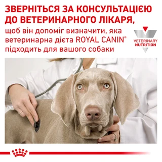 Сухий корм для собак Royal Canin Anallergenic Canine при харчовій алергії чи непереносимості 8 кг