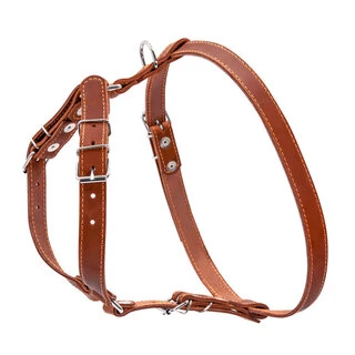 Шлея "CoLLaR" одинарная для мелких и средних собак (ширина 20мм, А:40-56см, В:57-65см), коричневый