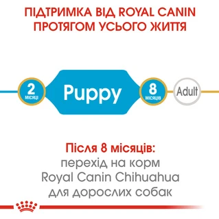 Сухой полнорационный корм для щенков Royal Canin Chihuahua Puppy породы чихуахуа возрасте от 2 до 8 месяцев 500 г