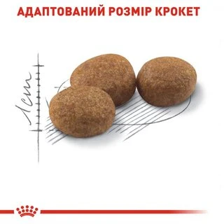 Сухий корм Royal Canin Sterilised для стерилізованих котів від 1 до 7 років 4 кг