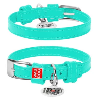 Нашийник для собак шкіряний WAUDOG Glamour з QR паспортом, без прикрас, Ш 9 мм, Дл 18-21 см, ментоловий