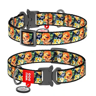 Нашийник для собак нейлоновий WAUDOG Nylon з QR паспортом, малюнок "Гламурні черепи", металевий фастекс, Ш 15 мм, Дл 23-35 см