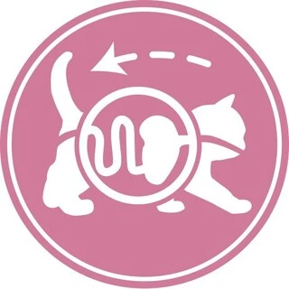 Сухий корм Royal Canin Mother and Babycat для кошенят до 4 місяців 10 кг