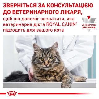 Полнорационный диетический корм для кошек при сахарном диабете Royal Canin Diabetic Cat 1.5 кг