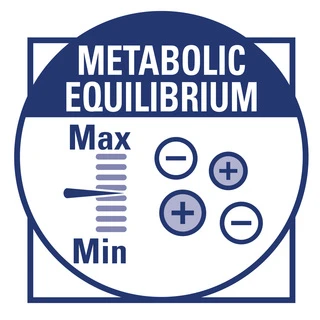 Сухий корм для собак Royal Canin Renal Canine із хронічною нирковою недостатністю 2 кг