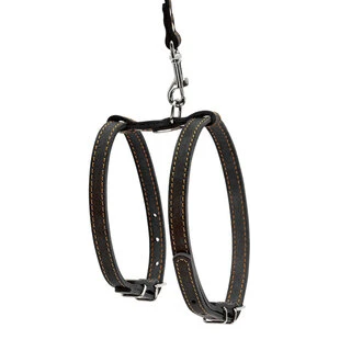 Шлея "CoLLaR" с поводком для мелких собак (ширина 14мм, А:27-35см,В:35-45см, длина 122см), черный