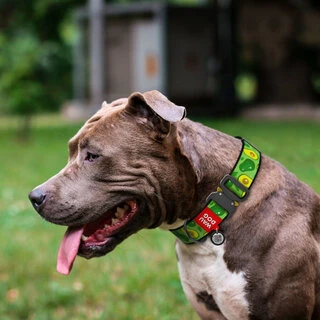 Нашийник для собак нейлоновий WAUDOG Nylon з QR паспортом, малюнок "Авокадо", металевий пряжка-фастекс, XXL, Ш 35 мм, Дл 43-70 см