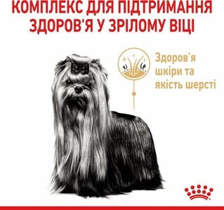 Сухой корм для взрослых собак Royal Canin Yorkshire Terrier 8+ 1.5 кг