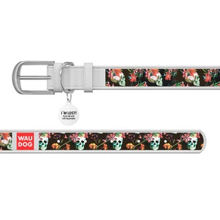 Ошейник WAUDOG Design с рисунком "Черепа", премиум кожа, металлическая пряжка (ширина 20 мм, длина 30-39 см), белый