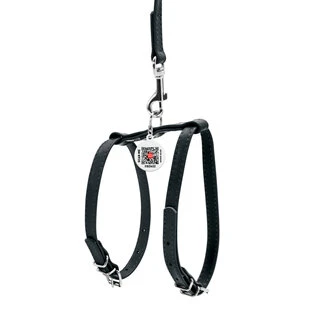 Шлея с поводком для собак кожаная WAUDOG Glamour c QR паспортом, Ш 12 мм, А 25-33 см, В 35-43 см, черный
