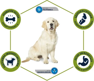 Cухой корм для собак Advance Dog Maxi Junior для молодых собак крупных пород с курицей и рисом 14 кг (8410650235400)