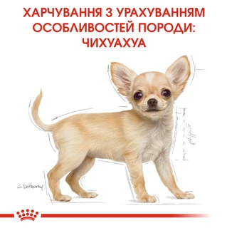 Сухой полнорационный корм для щенков Royal Canin Chihuahua Puppy породы чихуахуа возрасте от 2 до 8 месяцев 500 г