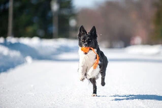 М'ячик ЛАЙКЕР7 Лайн, діаметр 7 см