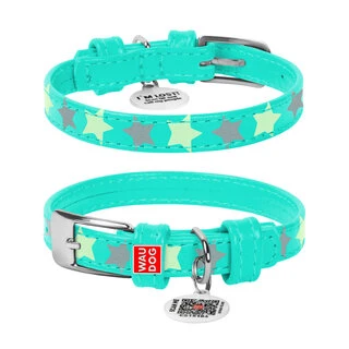 Ошейник для собак кожаный WAUDOG Glamour с QR паспортом, узор "Звёздочка", светящийся/светоотражающий, Ш 12 мм, Дл 21-29 см, ментоловый