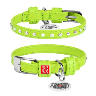 Нашийник для собак шкіряний WAUDOG Glamour з QR паспортом, з клейовими стразами, Ш 9 мм, Дл 18-21 см, салатовий