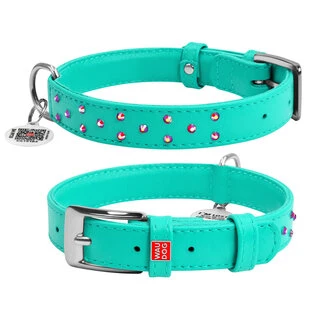 Нашийник для собак шкіряний WAUDOG Glamour з QR паспортом, з клейовими стразами, Ш 25 мм, Дл 38-49 см, ментоловий
