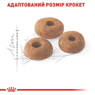 Сухой корм для домашних и уличных кошек Royal Canin Fit 2 кг