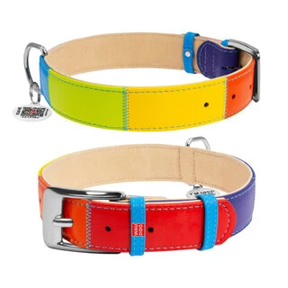 Нашийник для собак шкіряний WAUDOG Glamour з QR паспортом, "Радуга", Ш 25 мм, Дл 38-49 см