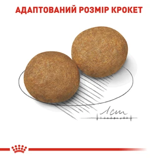 Сухий корм для дорослих собак середніх порід Royal Canin Medium Adult старше 12 місяців 4 кг