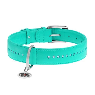 Нашийник для собак шкіряний WAUDOG Glamour з QR паспортом, подвійний зі стразами, Ш 35 мм, Дл 46-60 см, ментоловий