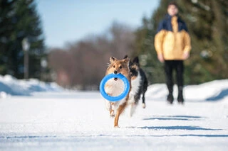 Кольцо для апортировки PitchDog 30, диаметр 28 см, голубой