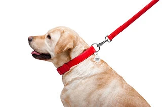 Повідок для собак шкіряний WAUDOG Glamour, Ш 25 мм, Дл 122 см, червоний