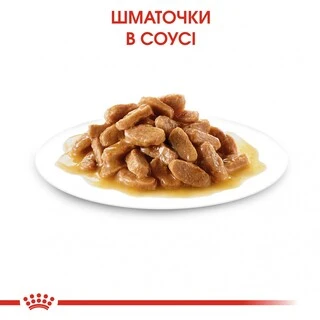 ПАК.Вологий корм Royal Canin MINI PUPPY для цуценят Дрібних порід 12 шт по 85 г