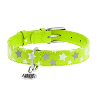 Ошейник для собак кожаный WAUDOG Glamour с QR паспортом, узор "Звёздочка", светящийся/светоотражающий, Ш 25 мм, Дл 38-49 см, салатовый