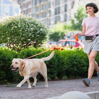 Поводок для собак "EVOLUTOR" (ширина 25 мм, длина 120 см), САМЫЙ ПРОЧНЫЙ ПОВОДОК, оранжевый