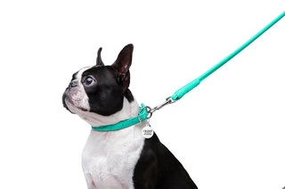 Поводок для собак кожаный WAUDOG Glamour, круглый, Д 8 мм, Дл 122 см, ментоловый