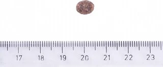 Сухой корм для взрослых собак маленьких пород  до 10 кг. Brit Care Dog Sustainable Adult Small Breed курица с насекомыми 1кг.