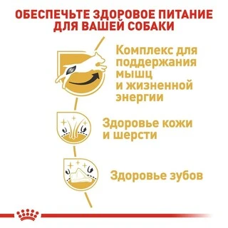 Сухий корм Royal Canin JACK RUSSEL ADULT для дорослих собак породи Джек Рассел Тер'єр 7.5 кг