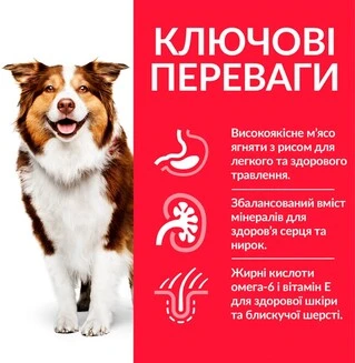 Сухий корм для зрілих собак від 7 років Hill&rsquo;s Science Plan Mature Adult 7+ Medium Breed з ягням та рисом 14 кг